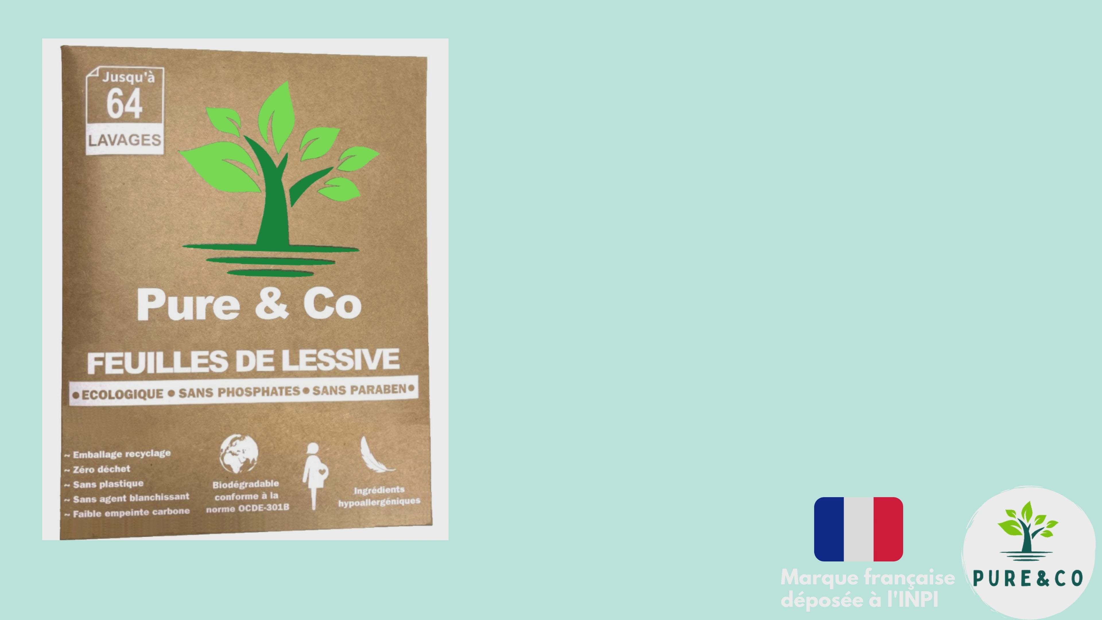 Charger la vidéo : 